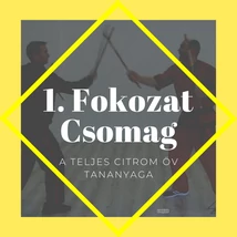 1. Fokozat Csomag – a sárga öv összes technikája: 4 oktatóvideó egyben