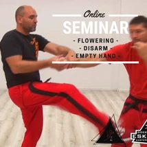 Eskrima online seminar video